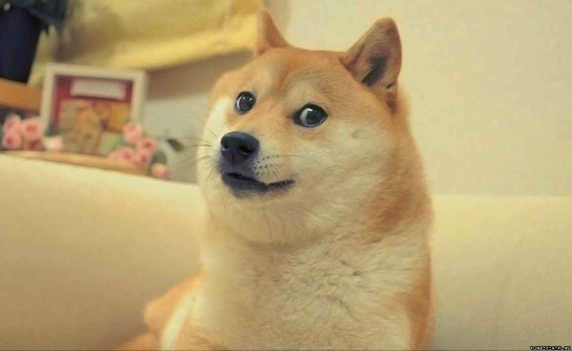 Как развлечь себя в святочный вечер?