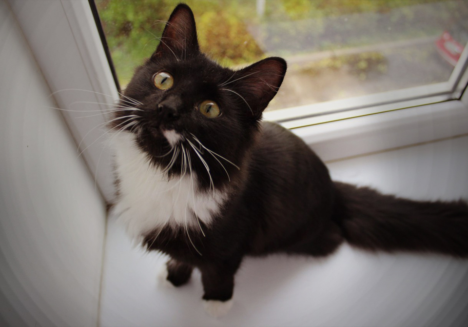 Твори добро #5